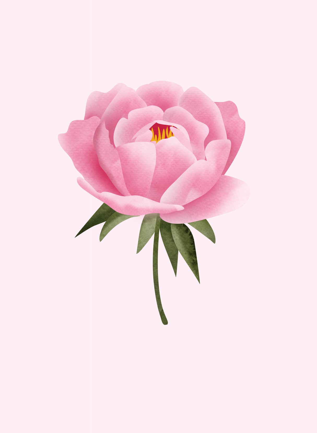 Peony statement Poster och Canvastavla