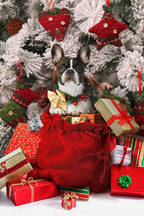 Xmas 21 Poster och Canvastavla
