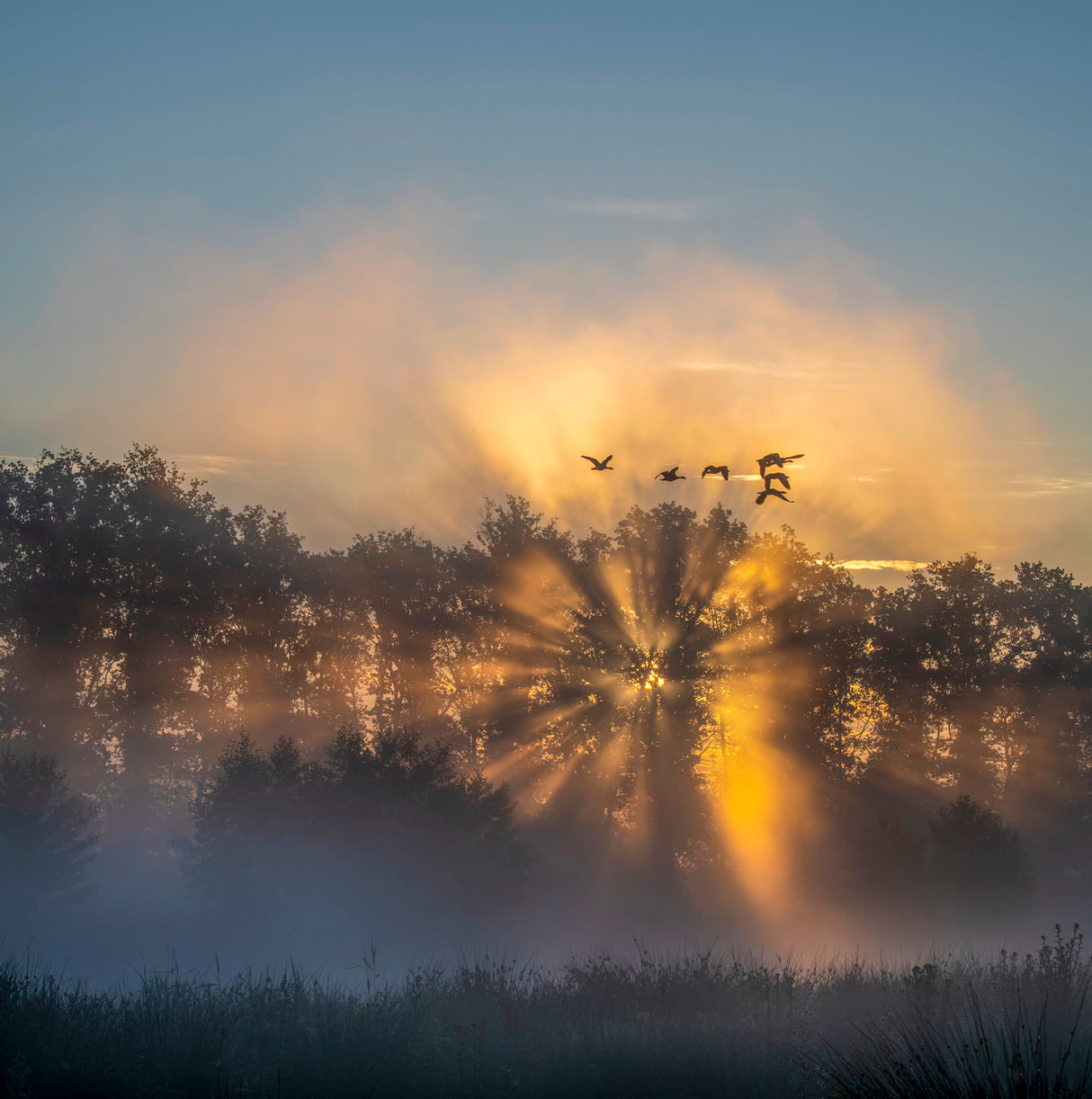 the Netherlands in the early morning Poster och Canvastavla