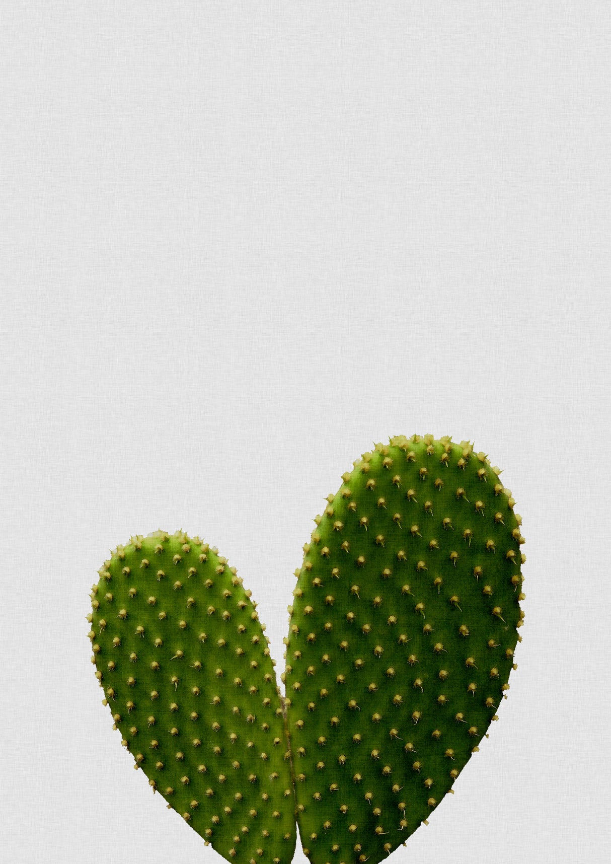 Heart Cactus Poster och Canvastavla
