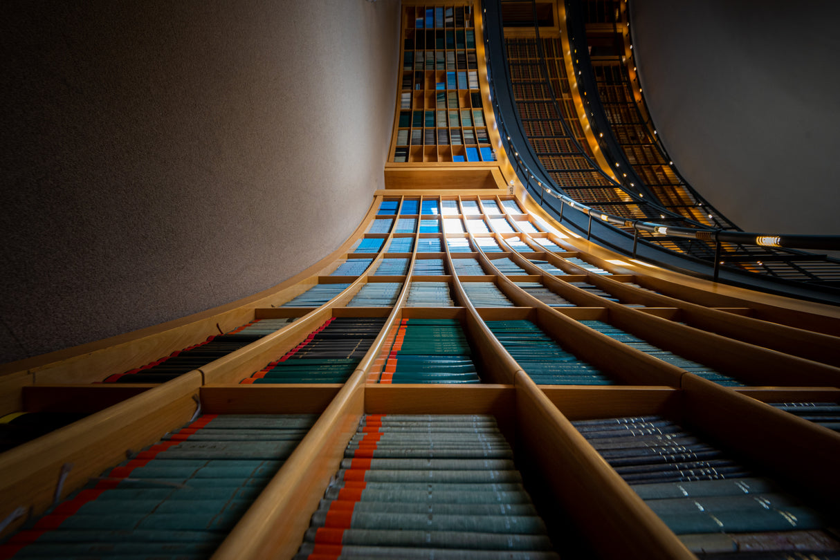 Lines and books Poster och Canvastavla