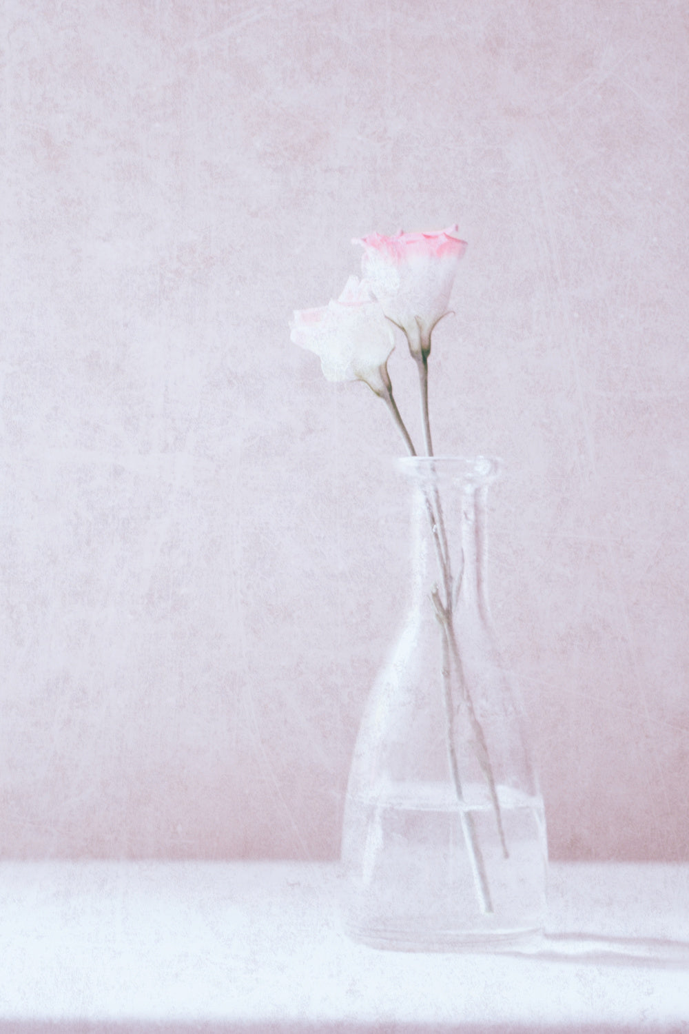 Flowers in Love Poster och Canvastavla
