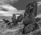 Still standing Poster och Canvastavla