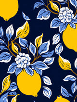 Italien Lemons 1 Poster och Canvastavla