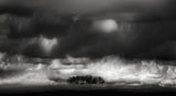 Silent trees hooded by resting clouds Poster och Canvastavla