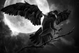 Raven Dance Poster och Canvastavla