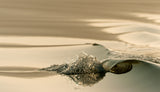 Golden wave Poster och Canvastavla