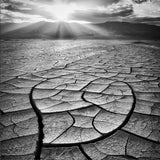 Arid Poster och Canvastavla