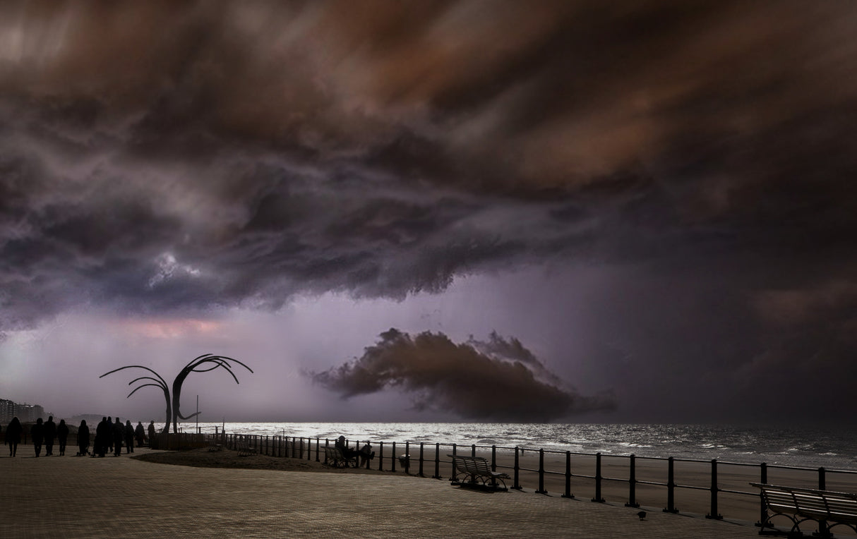 After the storm ... Poster och Canvastavla