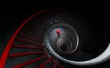 The red hat Poster och Canvastavla