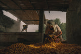 Date Harvest Season Poster och Canvastavla