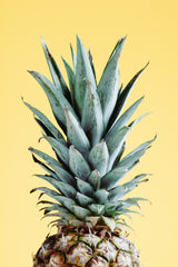Pineapple Yellow 03 Poster och Canvastavla