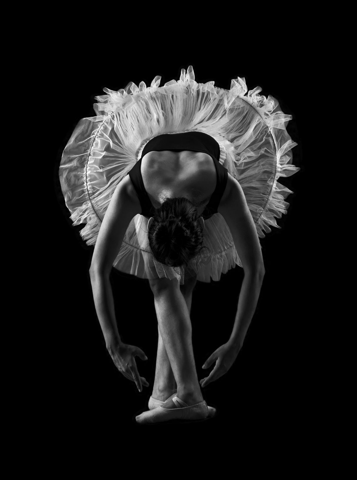 Ballet7741 Poster och Canvastavla