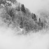 the foggy mountain Poster och Canvastavla