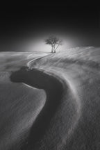Shadow of the S shape on the snow Poster och Canvastavla