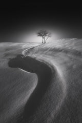 Shadow of the S shape on the snow Poster och Canvastavla