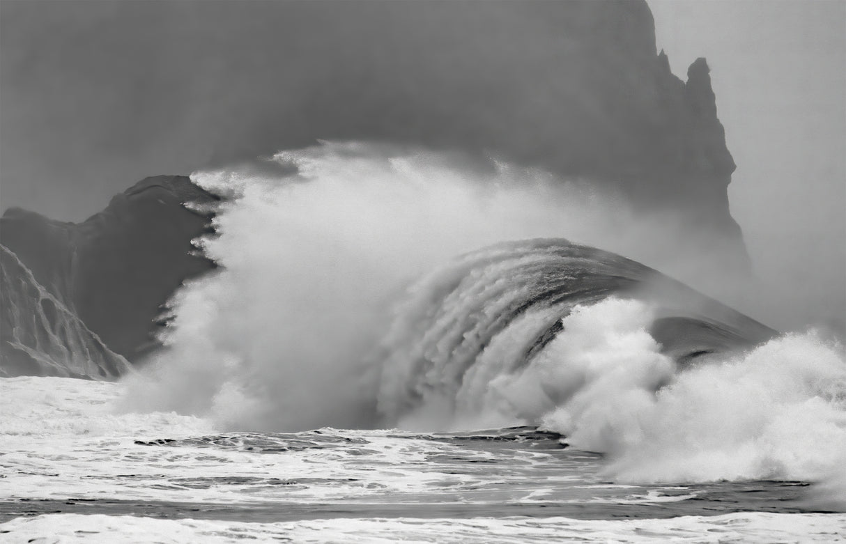 The Wave Poster och Canvastavla