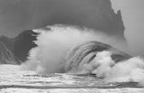 The Wave Poster och Canvastavla