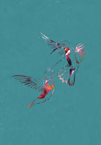 Pink Green Bird Flight Poster och Canvastavla