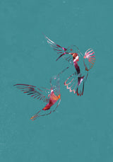 Pink Green Bird Flight Poster och Canvastavla