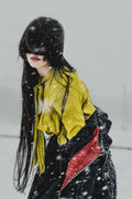 The beginning of snow Poster och Canvastavla