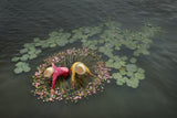 Lotus Harvest Poster och Canvastavla