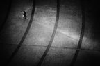 Following my Shadow Poster och Canvastavla
