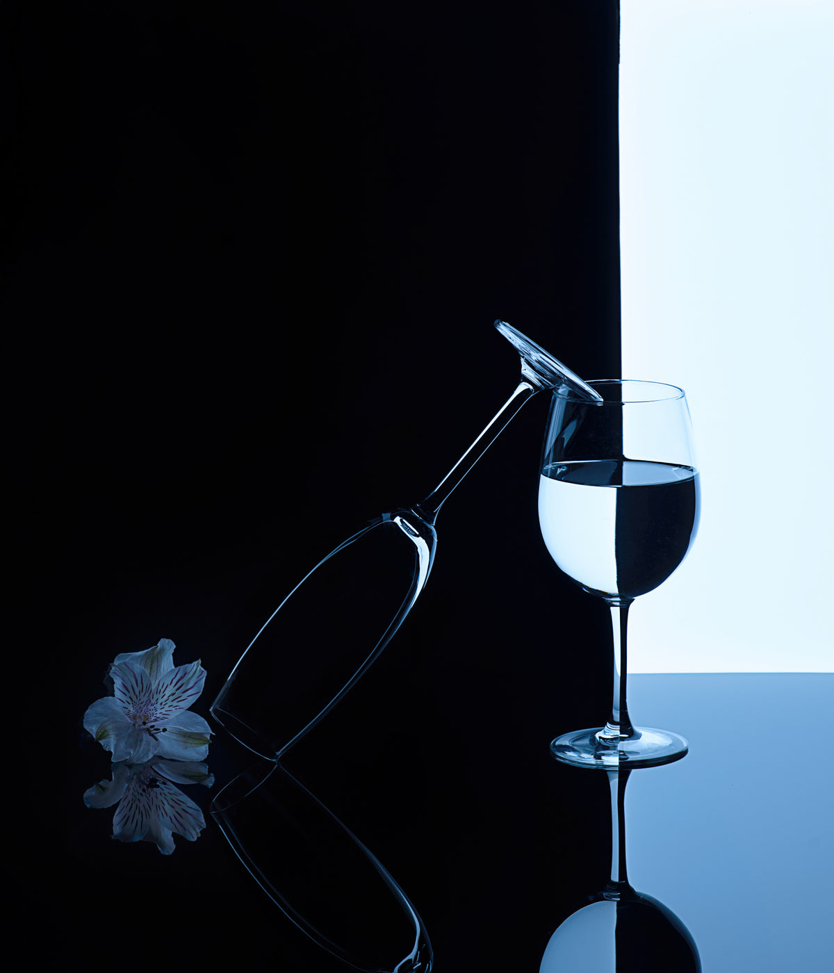 still life 67 Poster och Canvastavla