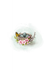 Bird nest and blossom Poster och Canvastavla