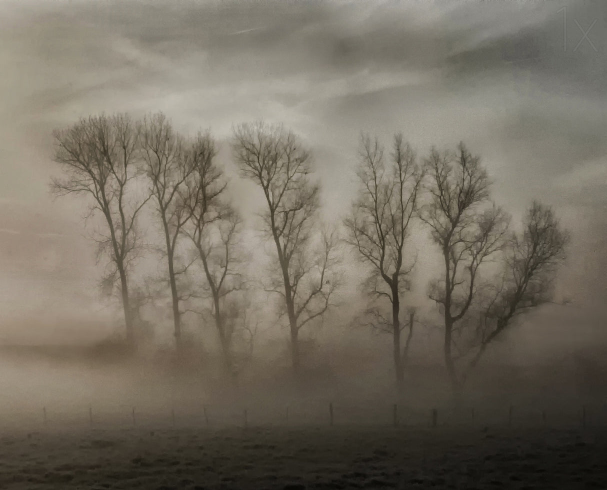 How nature hides the wrinkles of her antiquity under morning fog and dew Poster och Canvastavla
