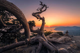 Monolithos Poster och Canvastavla