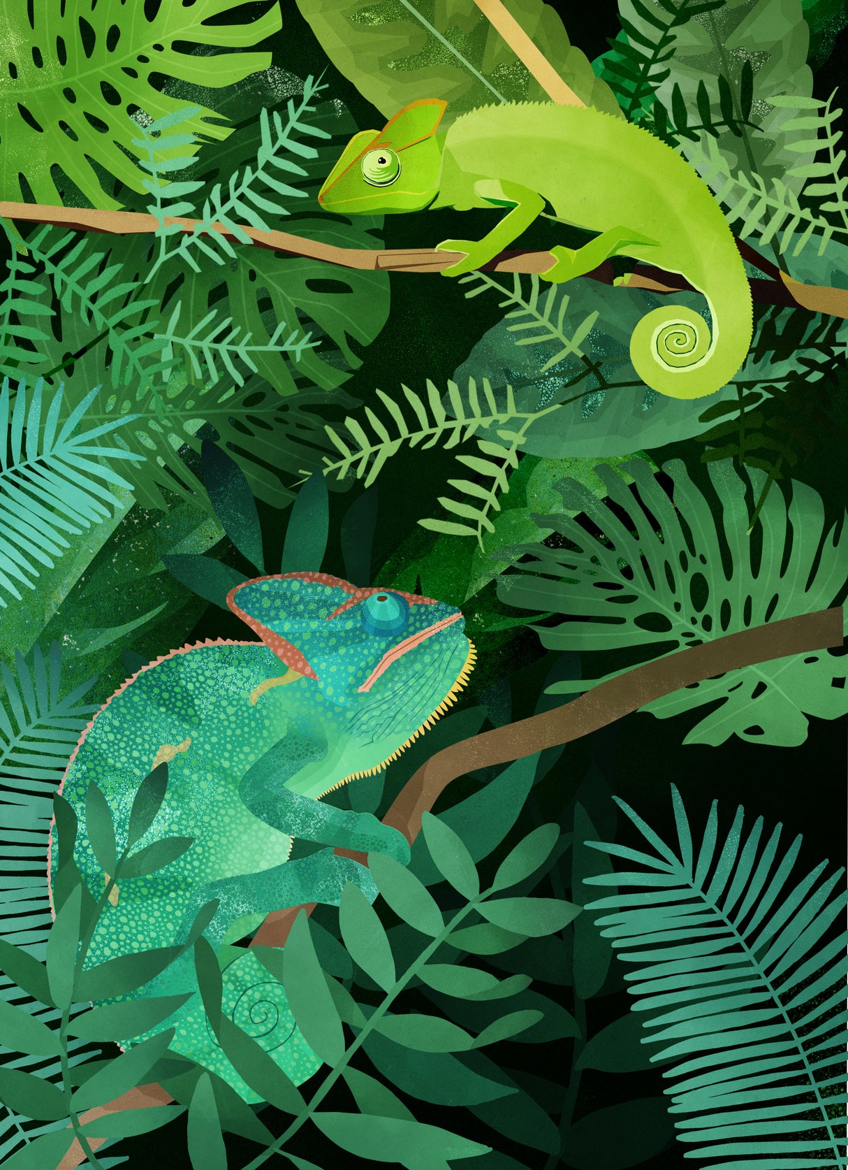 Chameleons Poster och Canvastavla