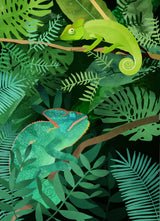 Chameleons Poster och Canvastavla