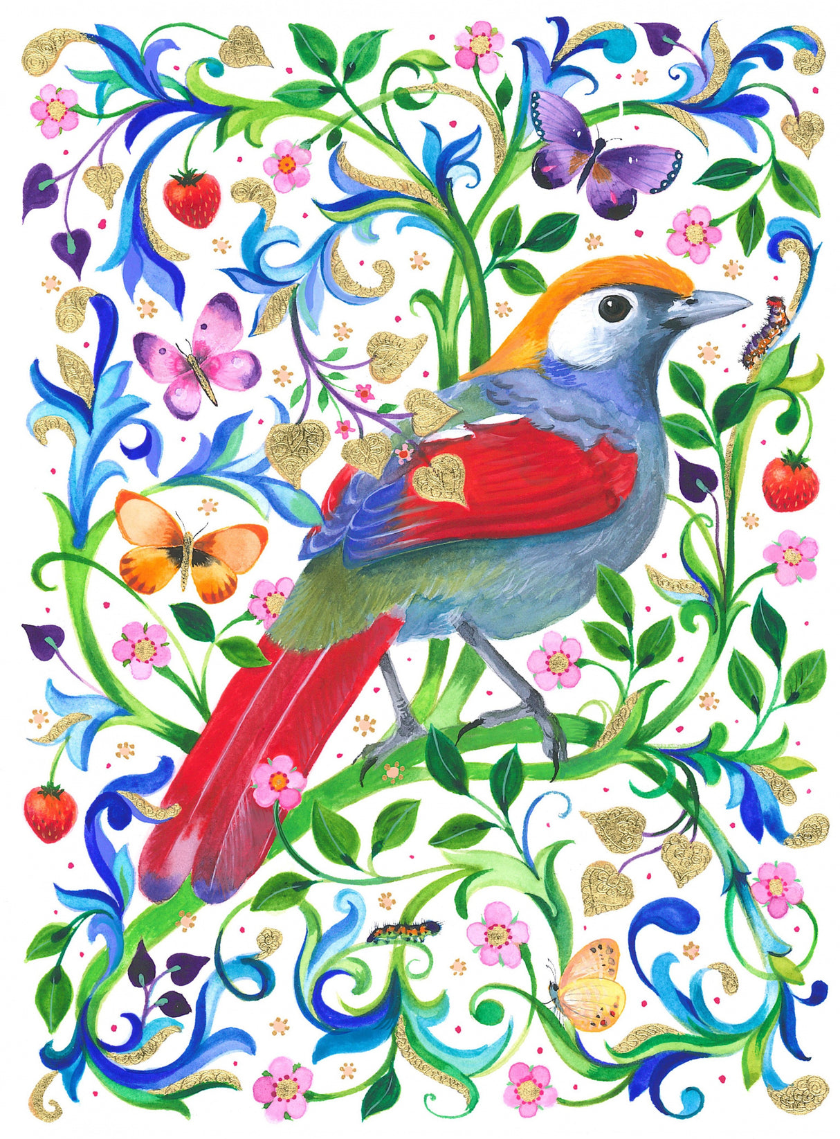 Red Tailed Laughing Thrush Artwork 600 Dpi Re Worked Poster och Canvastavla