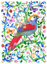 Red Tailed Laughing Thrush Artwork 600 Dpi Re Worked Poster och Canvastavla