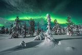 polar night Poster och Canvastavla