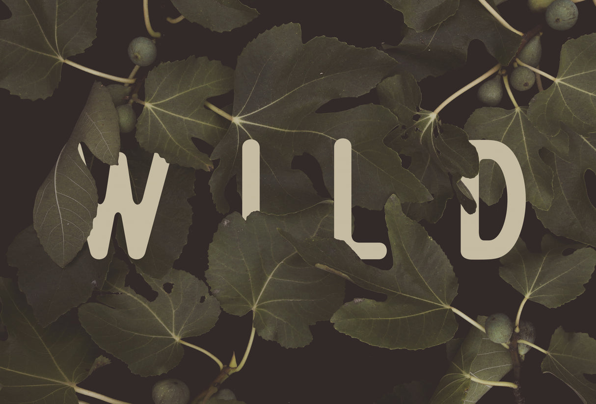 Wild Nº2 Poster och Canvastavla