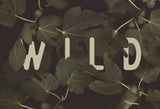 Wild Nº2 Poster och Canvastavla