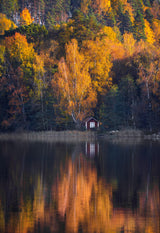 Lake house in autumn colors Poster och Canvastavla
