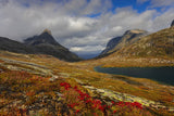 Alnesdalen Poster och Canvastavla