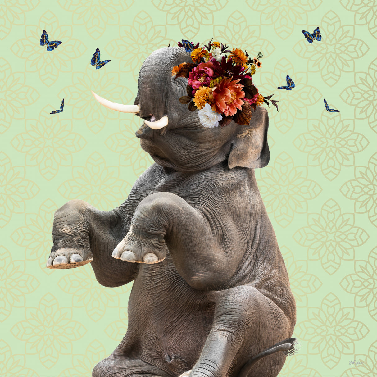 Spring Flower Bonnet On Elephant Poster och Canvastavla