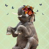 Spring Flower Bonnet On Elephant Poster och Canvastavla