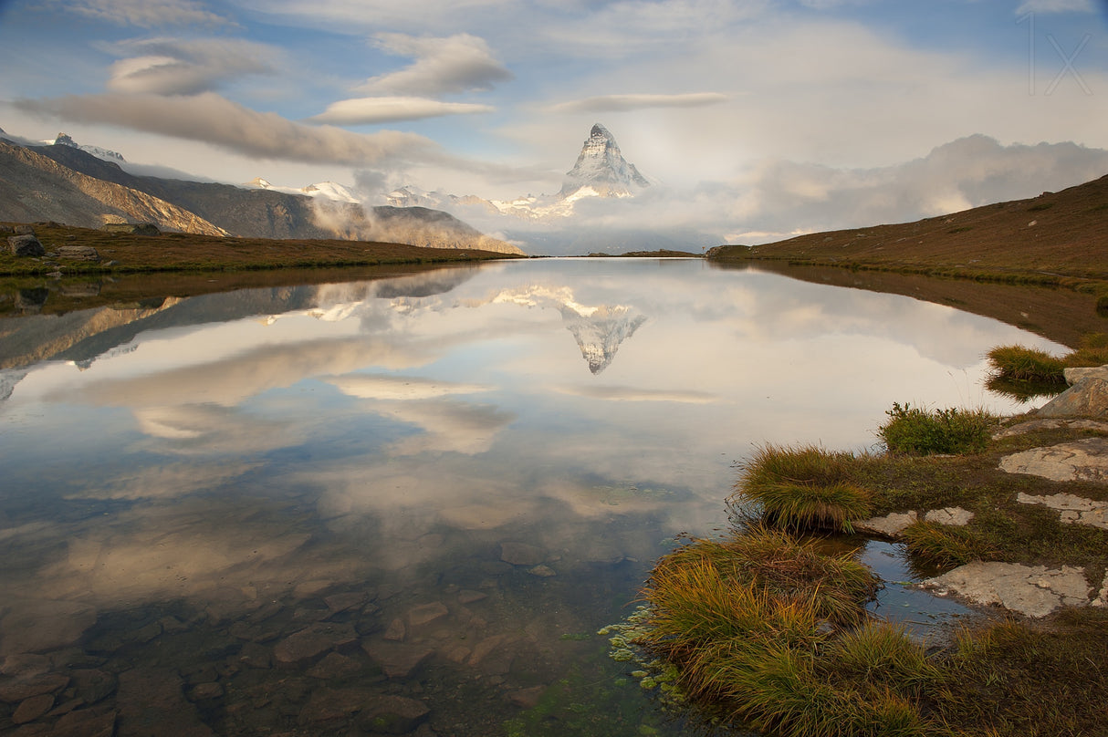 Stellisee Poster och Canvastavla