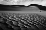 The Living Dunes, Namibia I Poster och Canvastavla