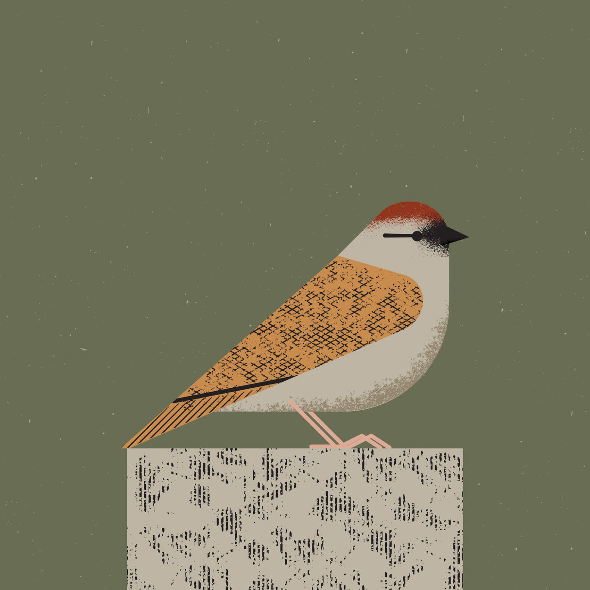 Sparrow Poster och Canvastavla