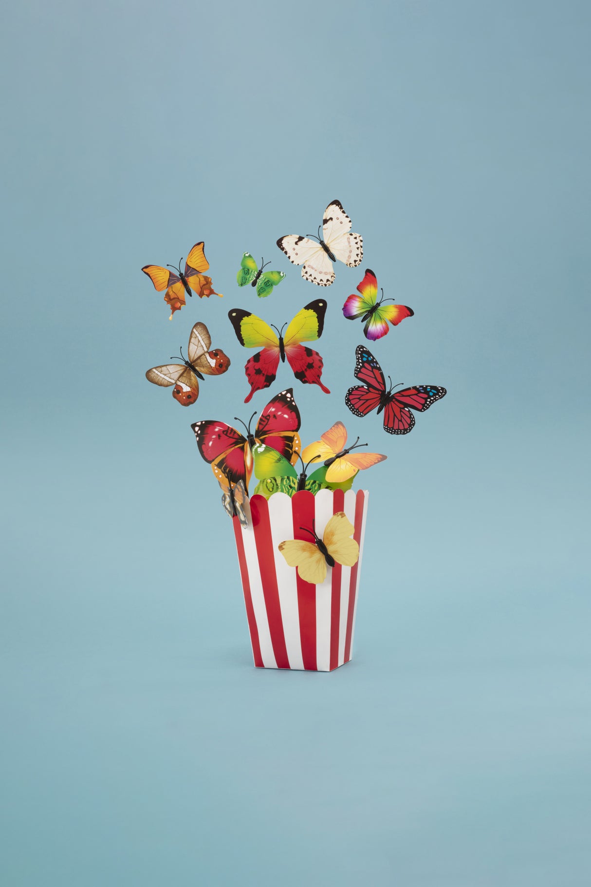 Popflies Case Poster och Canvastavla