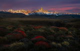 Spring in Torres del Paine Poster och Canvastavla