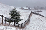Already Winter in Bucovina Poster och Canvastavla
