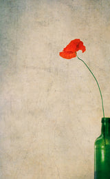 With mouth wide a-pout for a sultry kiss... Poster och Canvastavla