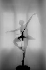 My Favorite Dancer Poster och Canvastavla